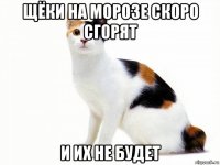 щёки на морозе скоро сгорят и их не будет