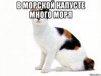 в морской капусте много моря 
