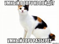 умный в гору не пойдёт умный гору разберёт