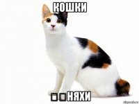 кошки ❤️няхи