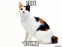 горе от ума