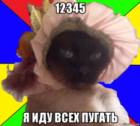 12345 я иду всех пугать