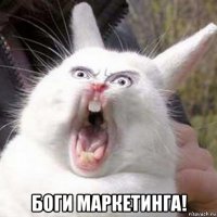  боги маркетинга!