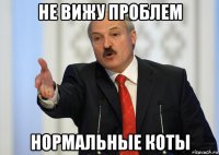 не вижу проблем нормальные коты