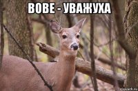 вове - уважуха 