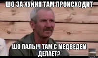 шо за хуйня там происходит шо палыч там с медведем делает?