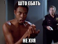 што ебать не хуя