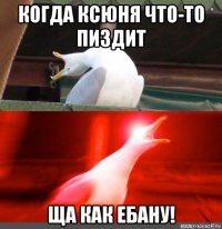 когда ксюня что-то пиздит ща как ебану!