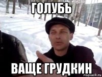 голубь ваще грудкин