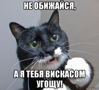 не обижайся, а я тебя вискасом угощу!