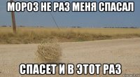 мороз не раз меня спасал спасет и в этот раз