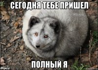 сегодня тебе пришел полный я