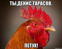 ты,денис тарас0в, петух!