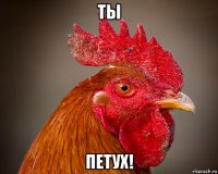 ты петух!