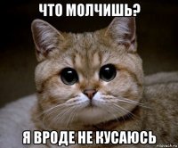 что молчишь? я вроде не кусаюсь