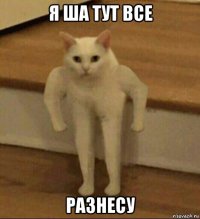 я ша тут все разнесу