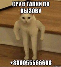 сру в тапки по вызову +880055566608