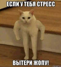 если у тебя стресс вытери жопу!