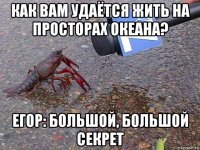 как вам удаётся жить на просторах океана? егор: большой, большой секрет