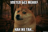 улетел без меня? как же так...