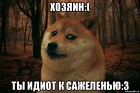 хозяин:( ты идиот к сажеленью:3