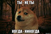 ты - не ты когда - никогда