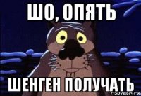 шо, опять шенген получать