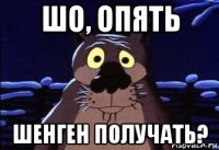 шо, опять шенген получать?