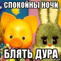 спокойны ночи блять дура