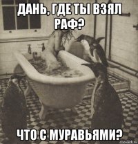 дань, где ты взял раф? что с муравьями?