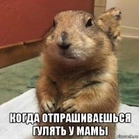  когда отпрашиваешься гулять у мамы