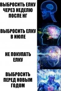 ВЫБРОСИТЬ ЕЛКУ ЧЕРЕЗ НЕДЕЛЮ ПОСЛЕ НГ ВЫБРОСИТЬ ЕЛКУ В ИЮЛЕ НЕ ПОКУПАТЬ ЕЛКУ ВЫБРОСИТЬ ПЕРЕД НОВЫМ ГОДОМ