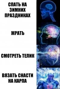 Спать на зимних праздниках Жрать Смотреть телик Вязать снасти на карпа