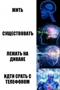 жить существовать лежать на диване идти срать с телефоном