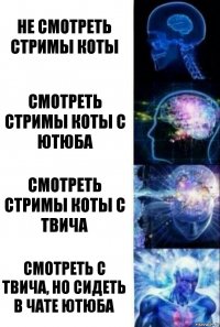 Не смотреть стримы Коты Смотреть стримы Коты с Ютюба Смотреть стримы Коты с Твича Смотреть с Твича, но сидеть в чате Ютюба