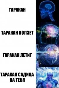 таракан таракан ползет таракан летит таракан садица на тебя