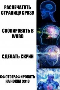 Распечатать страницу сразу скопировать в word сделать скрин сфотографировать на нокиа 3310