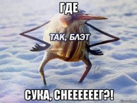 где сука, снеееееег?!