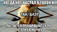 когда кот насрал в тапок и пытается прокарабкатся по потолку в нычку