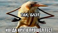  когда круто прошёл тест