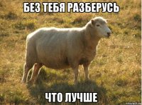 без тебя разберусь что лучше