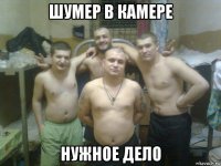 шумер в камере нужное дело