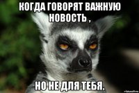 когда говорят важную новость , но не для тебя.