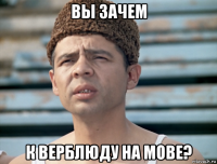 вы зачем к верблюду на мове?