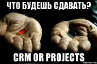 что будешь сдавать? crm or projects