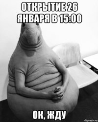 открытие 26 января в 15:00 ок, жду