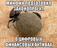 минфин подготовил законопроект о цифровых финансовых активах