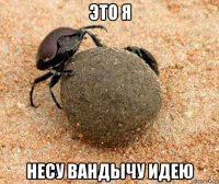 это я несу вандычу идею