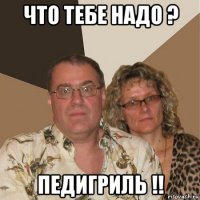 что тебе надо ? педигриль !!