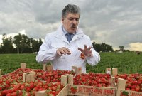 Грудинин